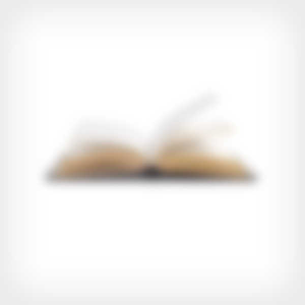 The Economic Structure of Corporate Law